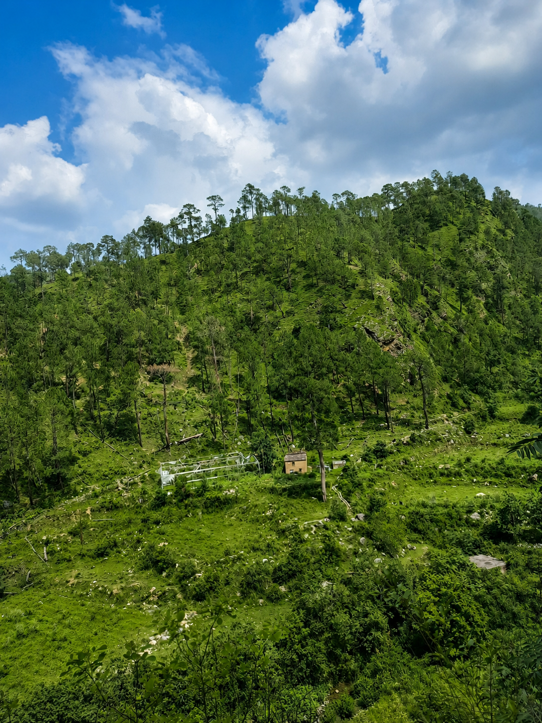Villas nestled in green hills