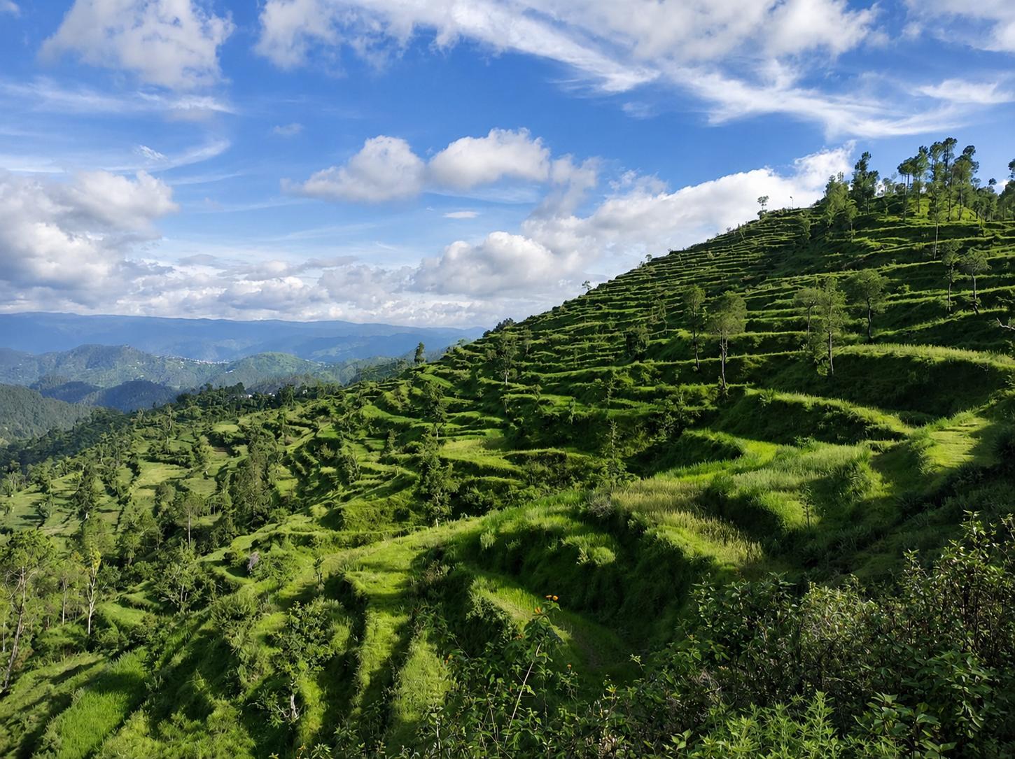 Beautiful landscape view from Hillora Heights